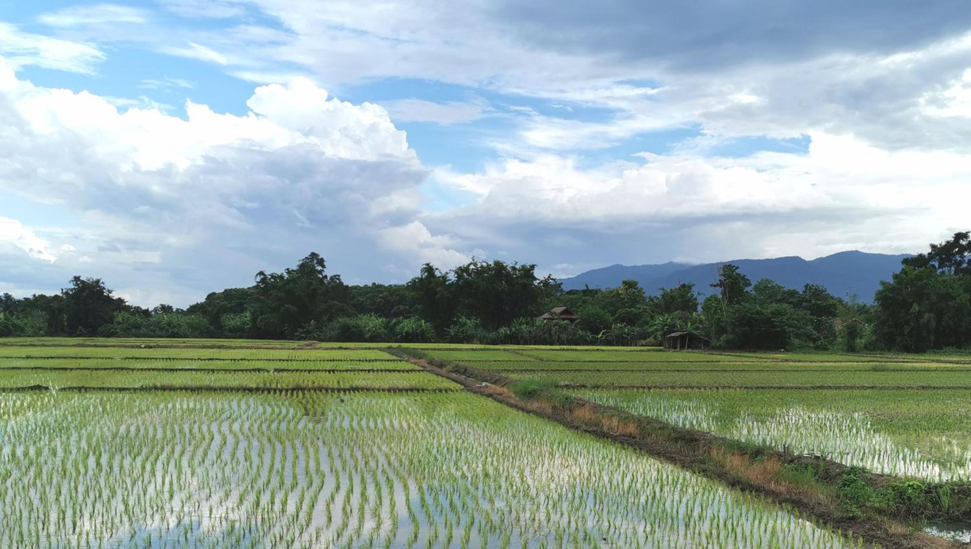 Wichouda Homestay Chiang Dao Eksteriør bilde
